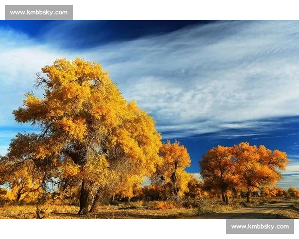 跑男团西藏开跑:天路团建,带万愿赴雪山之约